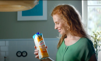 Vanilla Models - HORTEX campaign