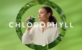 Vanilla Models - CHLOROPHYLL campaign