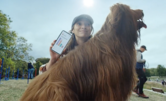 Vanilla Models - ING campaign