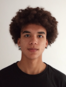 Vanilla models - Robert H