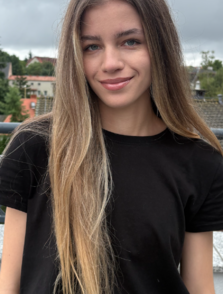 Vanilla models - Nikola