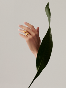 Vanilla models - HANDS 001